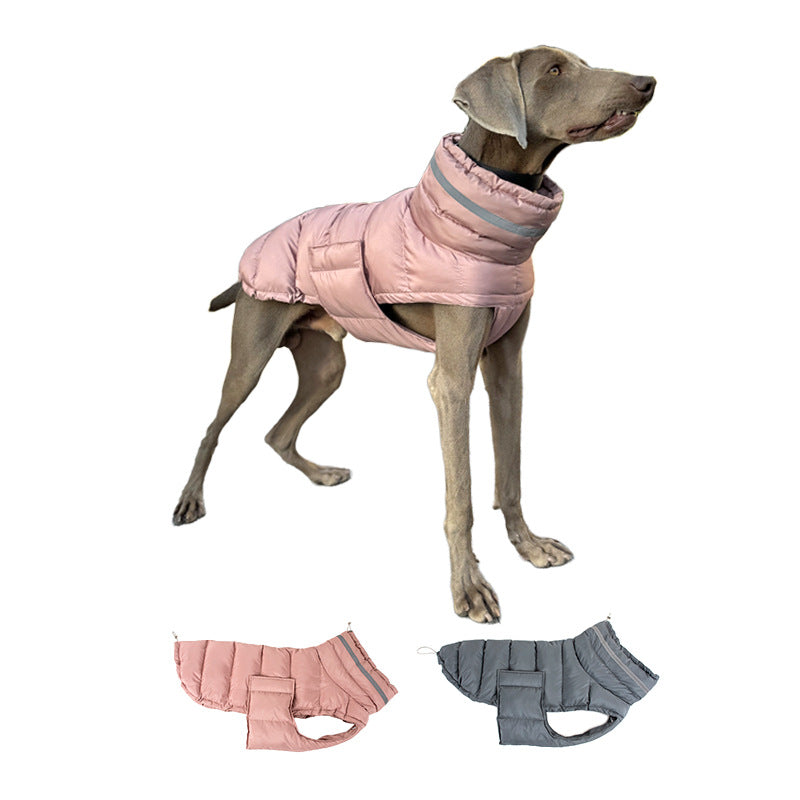 Padded cotton dog coat with warm high fill lining, showing size and shape