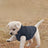 Windproof fleece lined dog winter jacket, available in 3 colours, image 1