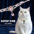Pearl cat collar with crystal pendant on a small pet, product image 1