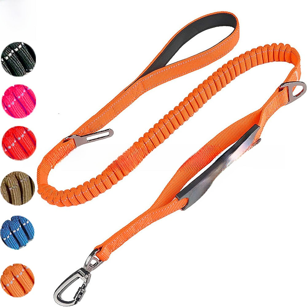Elastic bungee dog lead with padded handle and car clip, ideal for everyday use