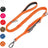 Elastic bungee dog lead with padded handle and car clip, ideal for everyday use