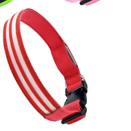 LED light-up dog collar, available from Pet Royale UK