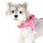 Adjustable dog harness with soft cloud-shaped sponge handle, product image 1