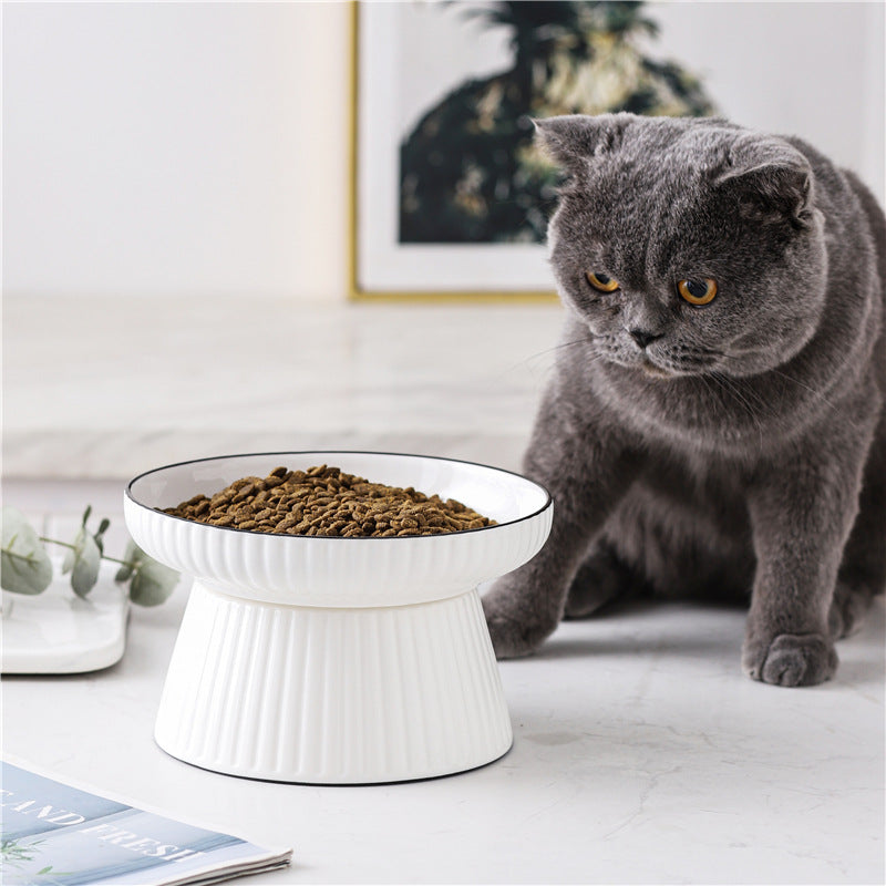Ceramic Pet Bowl