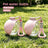 Portable Foldable Pet Water Bottle