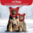 Fleece winter hats for cats and dogs in three colours