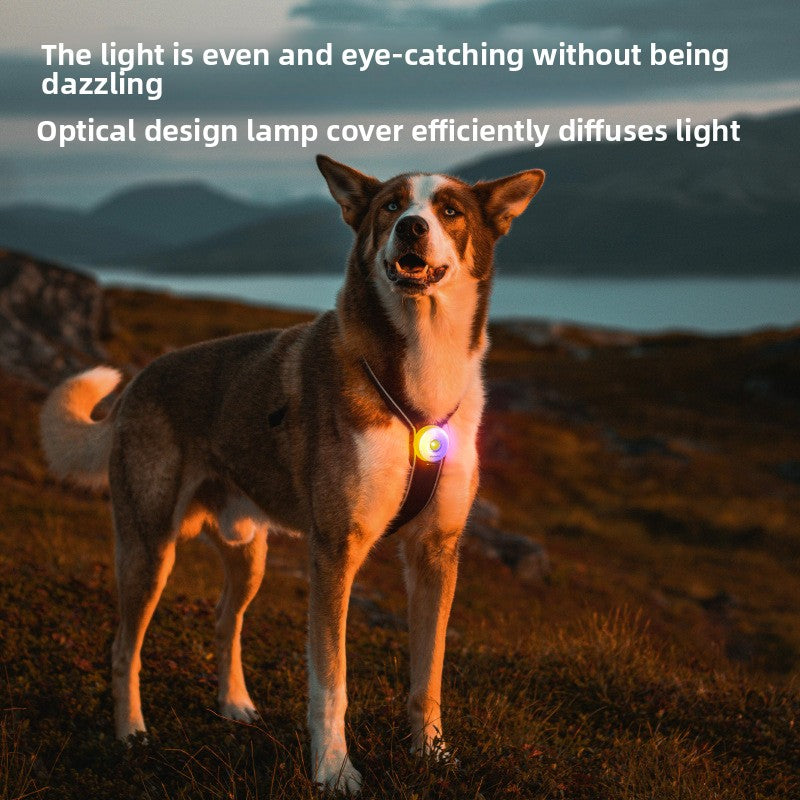 Clip on LED pet safety light in round shape on a collar