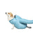 Foldable pet drying bag in Oxford cloth with head opening