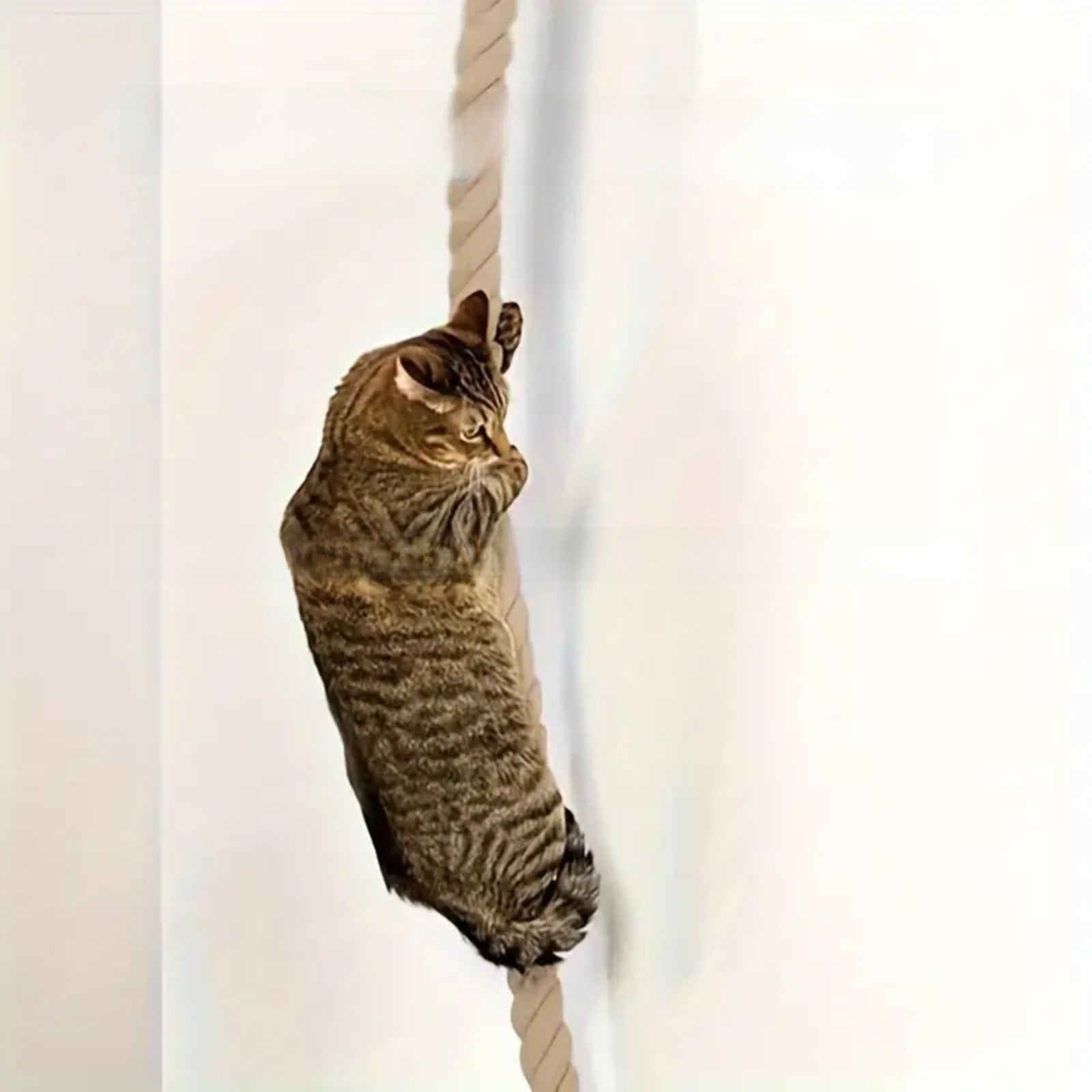 Floor-to-ceiling cat climbing pole with rope, sizes from 1.5m