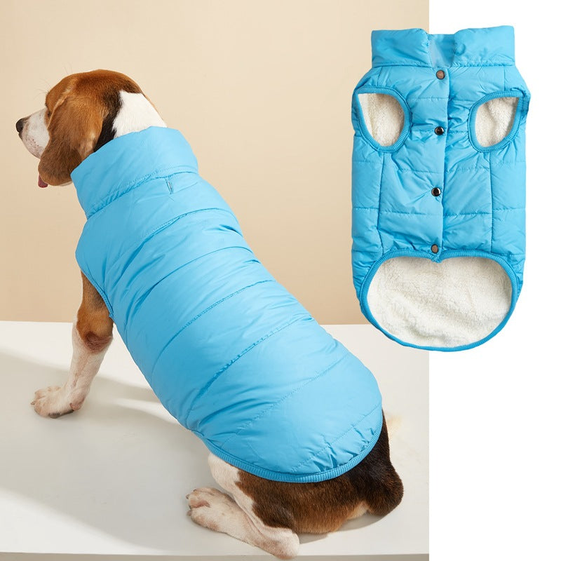 Small dog in a navy padded button up vest
