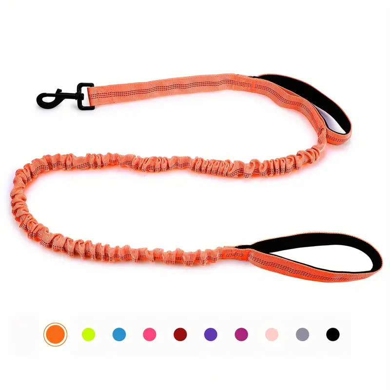 Multi-use bungee dog lead, available from Pet Royale UK