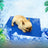 Gel pet cooling mat with sponge layer, main product photo