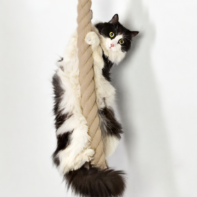 Wooden cat climbing frame with jute climbing rope