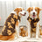 Cartoon bear pet sweatshirt for dogs and cats in Brown Bear, top view