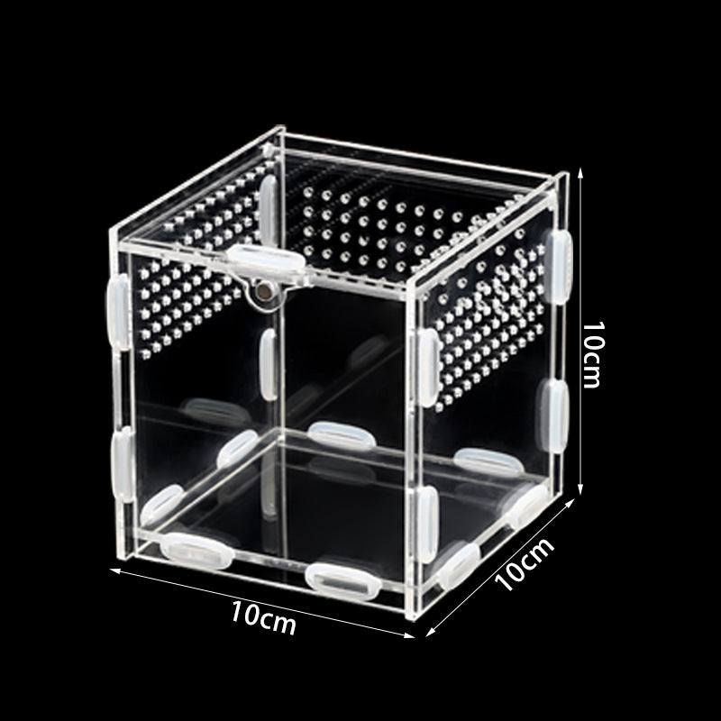 Clear acrylic reptile habitat box, product gallery photo