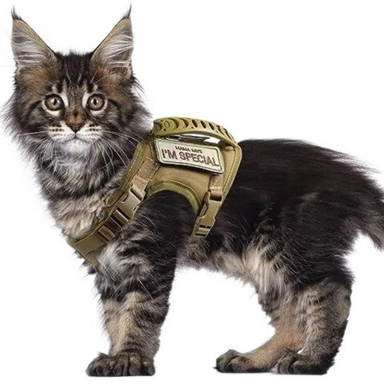 Tactical MOLLE cat harness vest in nylon, product image 5
