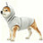 Dog calming hooded vest - view 5