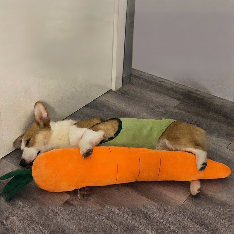 Plush carrot dog toy with crinkle leaves, photo 1 of 6