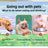 Pet Feeding Bowl
