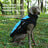 Windproof padded coat for large dogs, available in 5 colours, image 1