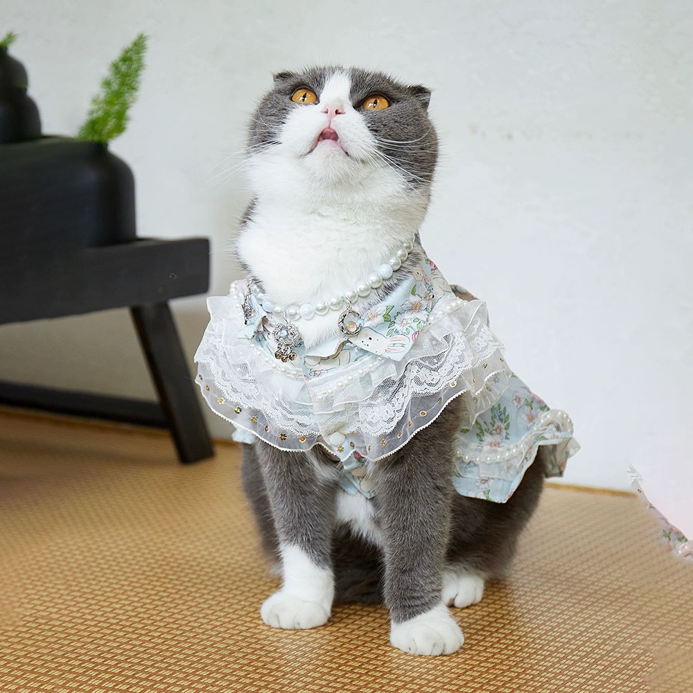 Sky blue Lolita dress for cats and small dogs, in a home setting