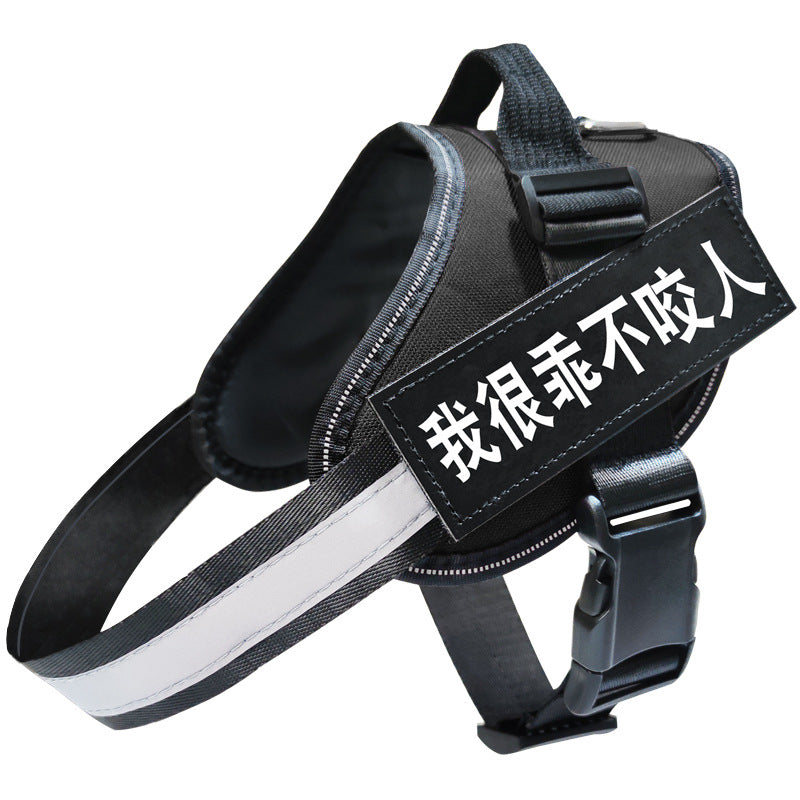 Reflective dog harnesses shown in seven bright colours