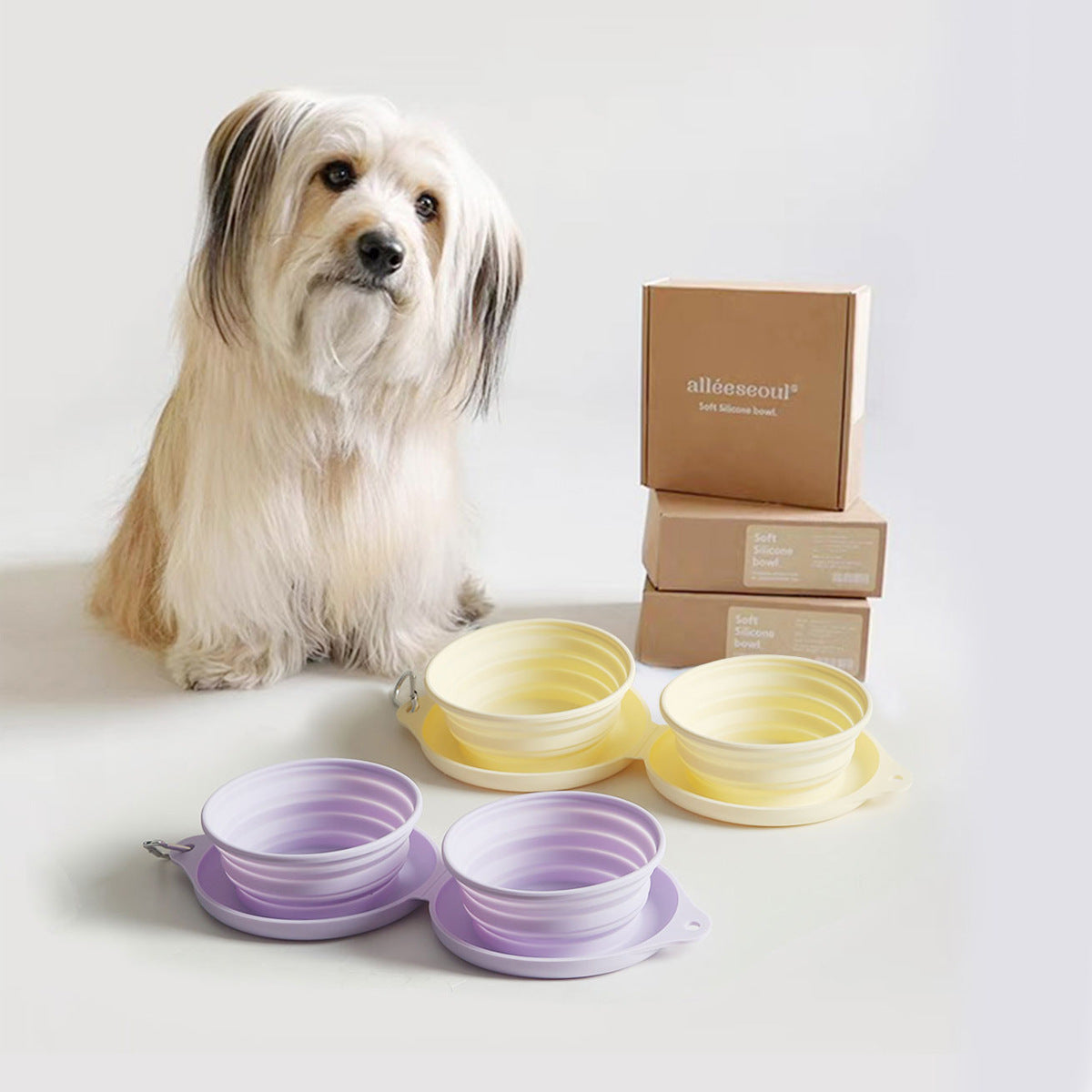 Foldable Silicone Pet Bowl for Outdoor Walks and Travel for Dogs and Cats