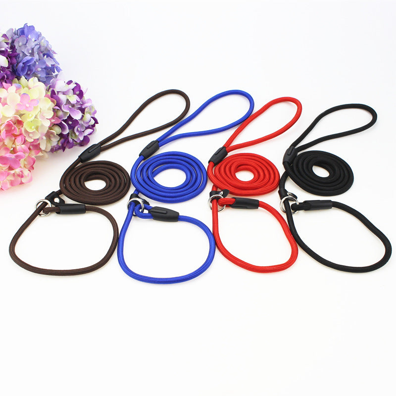 Nylon rope slip lead for dogs in 5 colour options