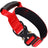 Adjustable nylon dog collar, ideal for everyday use