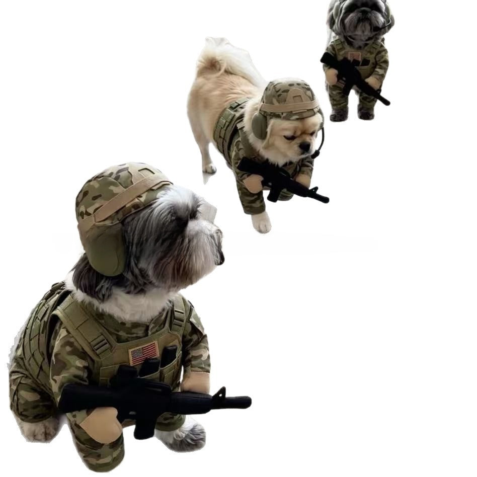 Dog dressed in a cartoon soldier costume with hat
