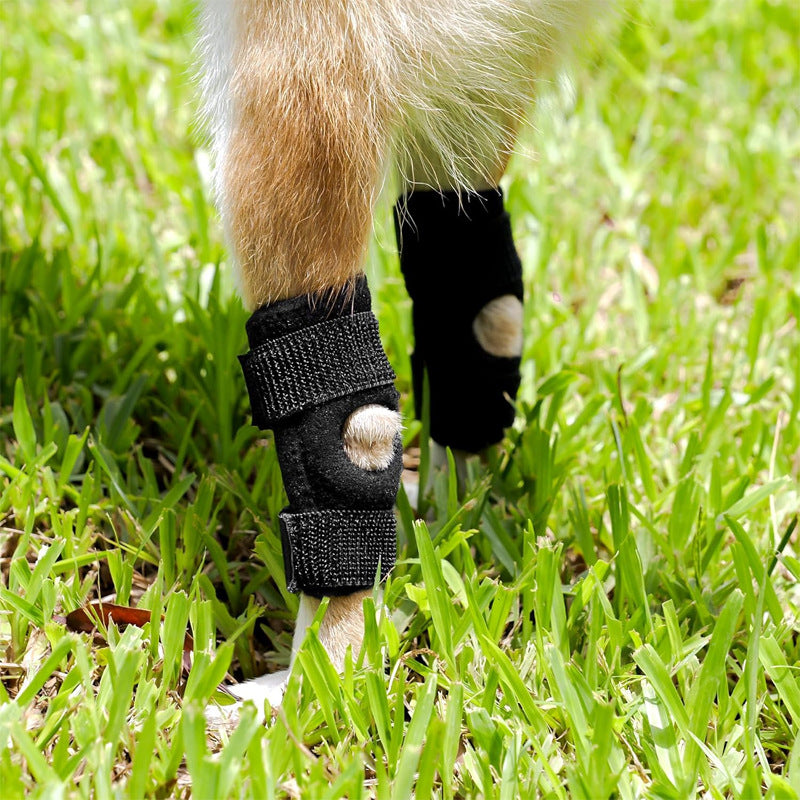 Protective black nylon dog knee sleeve for licking prevention in Black, close-up detail