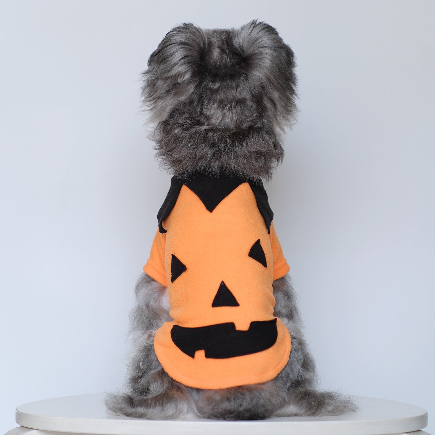 Selection of funny Halloween and Christmas costumes for pets