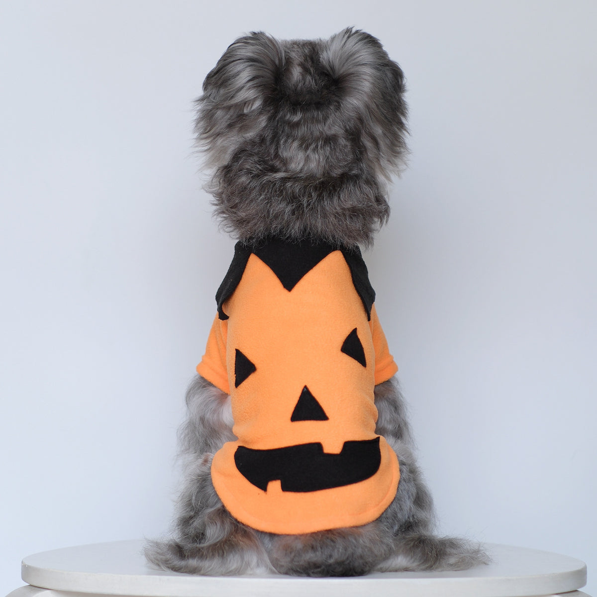 Selection of funny Halloween and Christmas costumes for pets