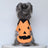 Selection of funny Halloween and Christmas costumes for pets