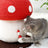 Red mushroom cat scratching post with hanging ball, photo 3 of 12