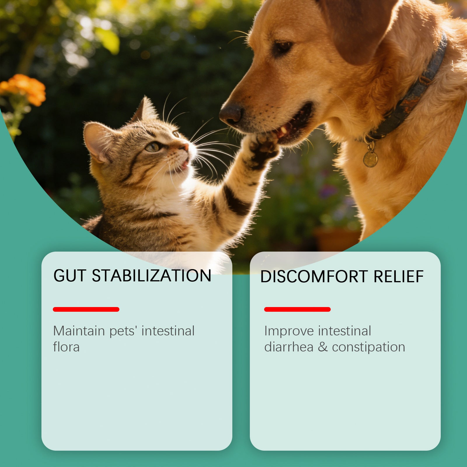 Pet Teeth Cleaning Powder for Plaque, Tartar and Fresh Breath