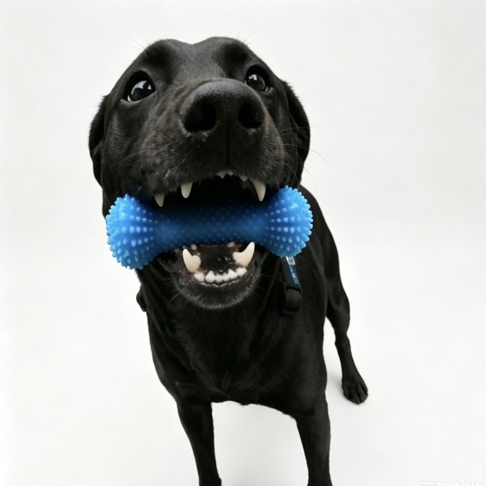 Blue dog toothbrush chew stick toy with grooves, photo 2 of 6