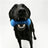 Blue dog toothbrush chew stick toy with grooves, photo 2 of 6