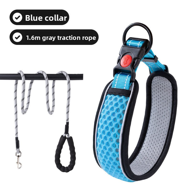 Adjustable dog collar with optional lead, ideal for everyday use