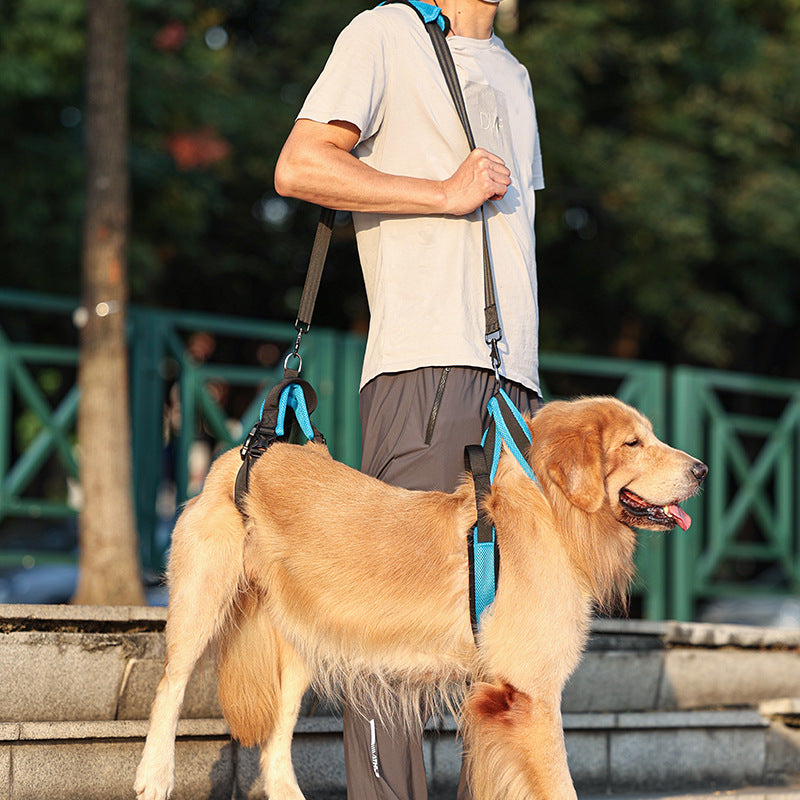 Blue supportive harness for senior and less mobile dogs, product image 1