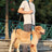 Blue supportive harness for senior and less mobile dogs, product image 1