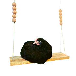Natural wood bird and chicken swing and perch in 120cm Bridge 40cm, Navy Hook