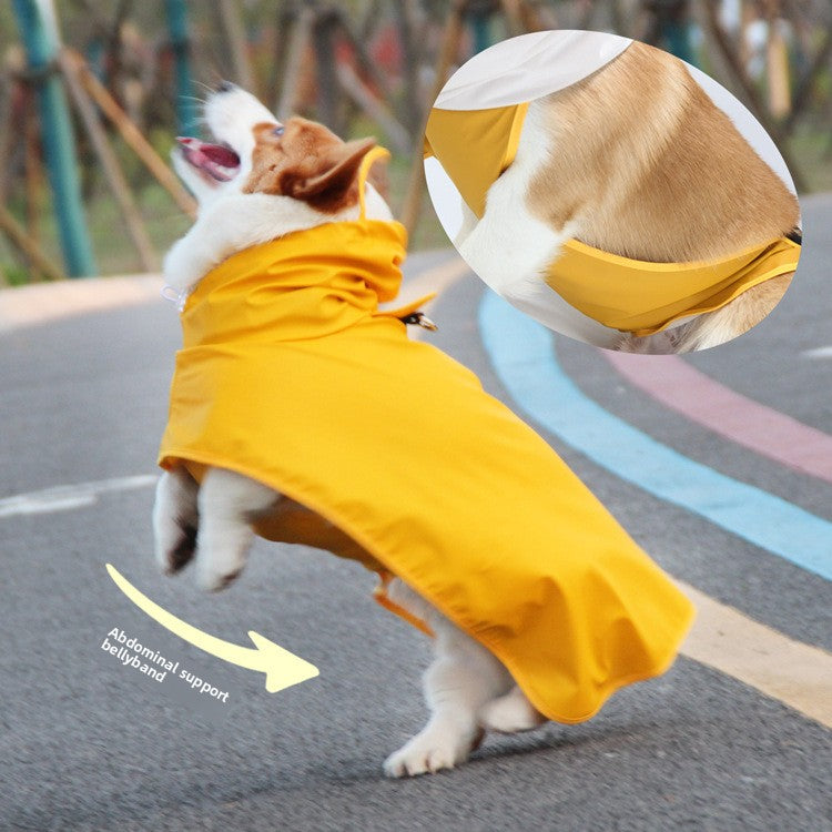 Waterproof PU dog raincoat cape with belly cover in Dinosaurs, in a home setting