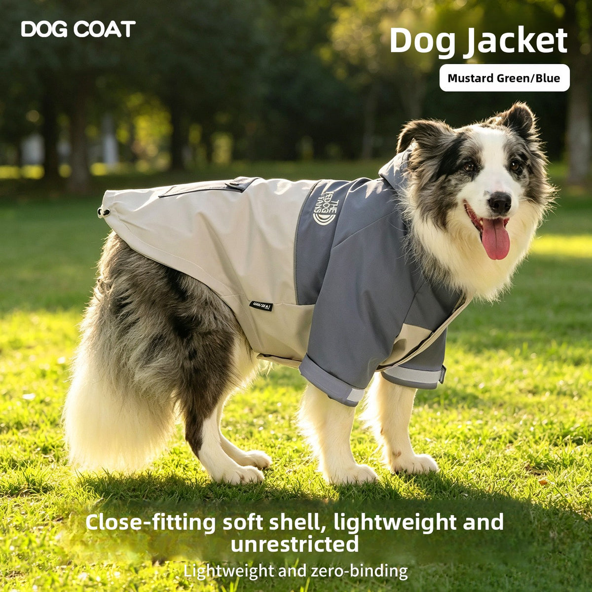 Dog wearing a misty grey blue hooded waterproof jacket