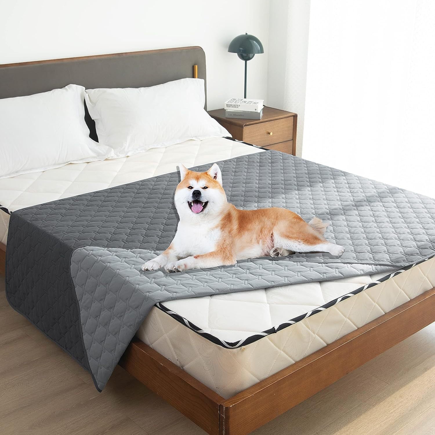Waterproof pet sofa cover and protector, photo from another angle