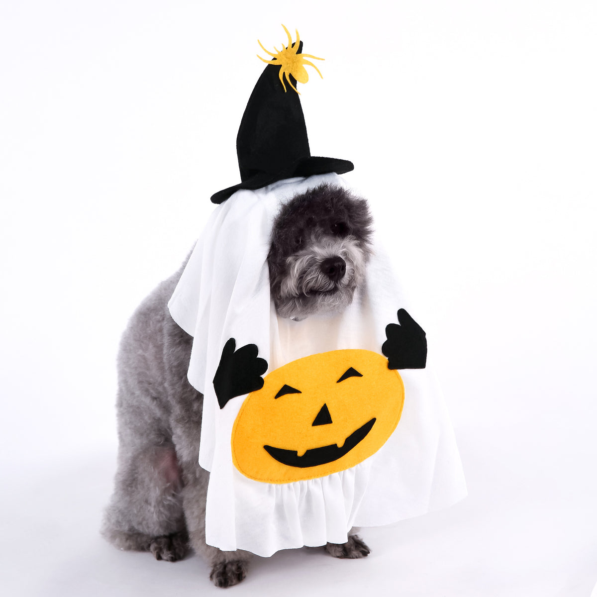 Soft polyester pumpkin ghost Halloween costume for small dogs