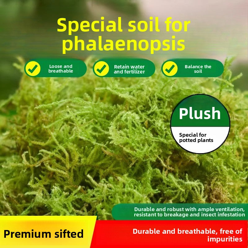 Natural dried moss for reptile bedding in a terrarium