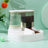 Automatic Cat Feeder and Water Dispenser with Sliding Cover and Controlled Portion Release