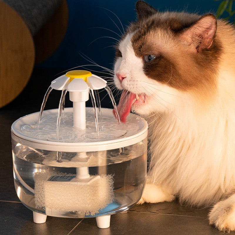 Automatic Circulation Pet Water Fountain with Multi-Stage Filter and Quiet Pump