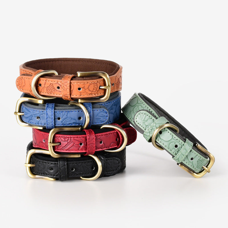 Classic engraved dog collars in green, blue, red and black